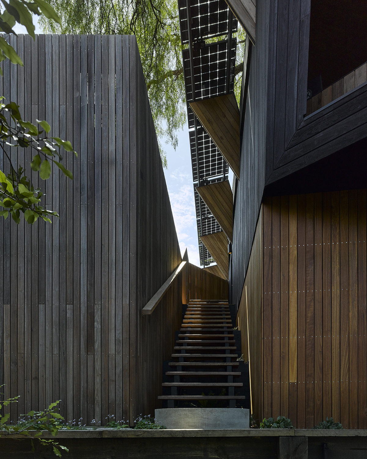 Pepper Tree Passive House by Alexander Symes Architect 谷德设计网