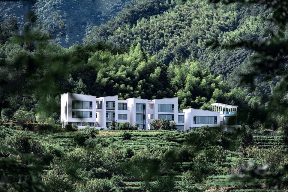 Qiyuan Parallect Design