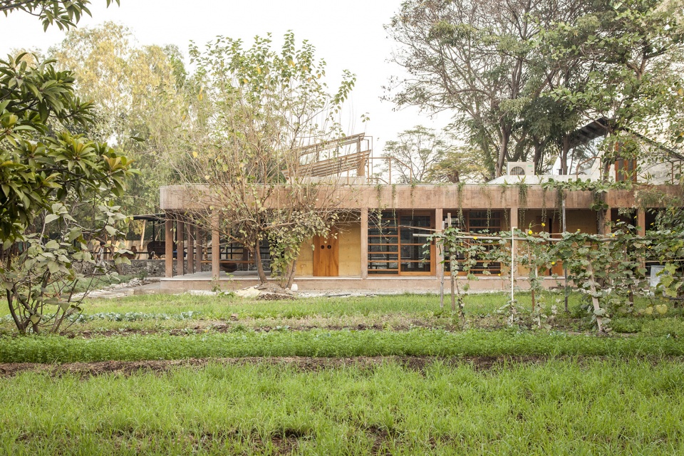 Shed 20 Studio ii