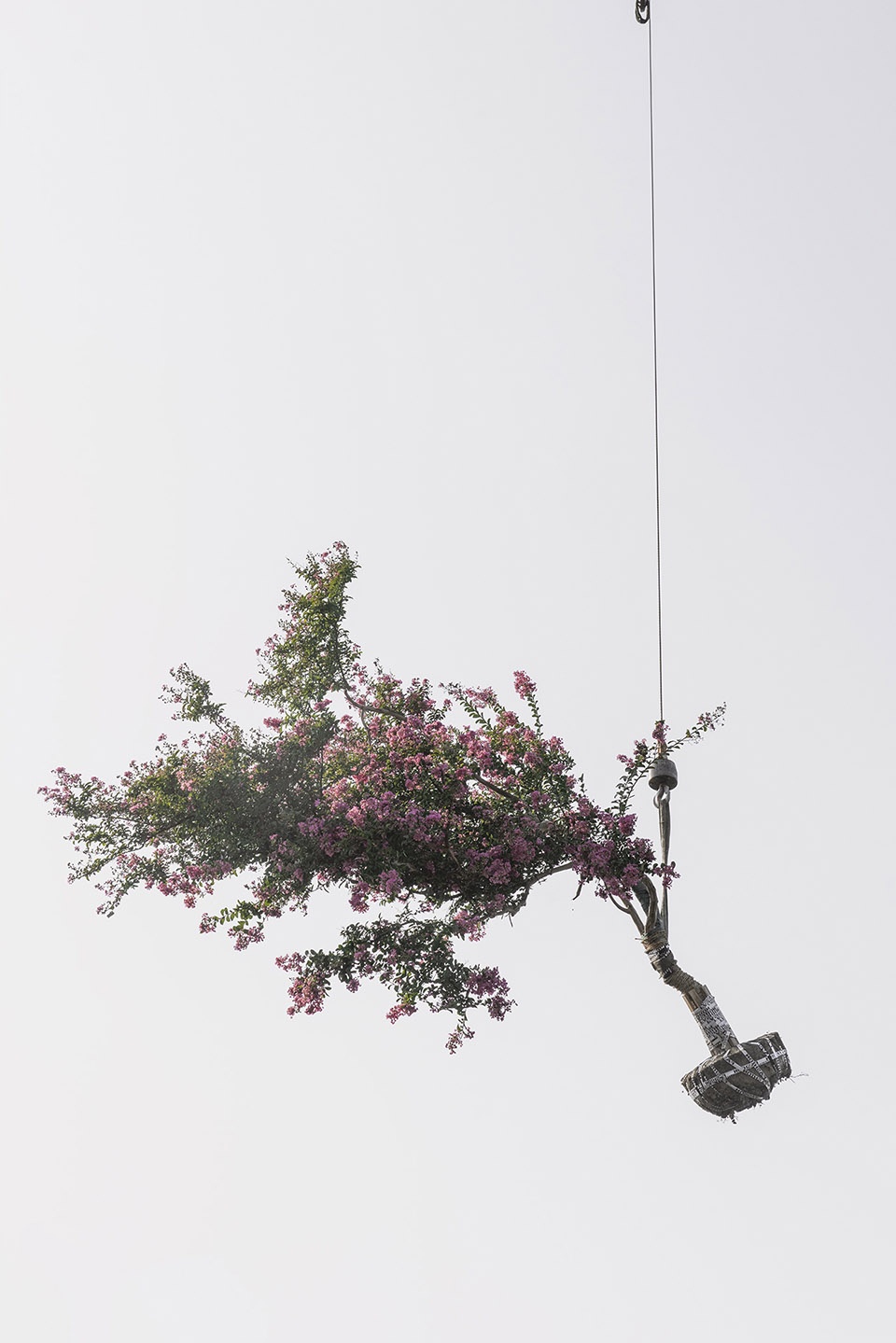 The Sky Garden Zhang Kechun
