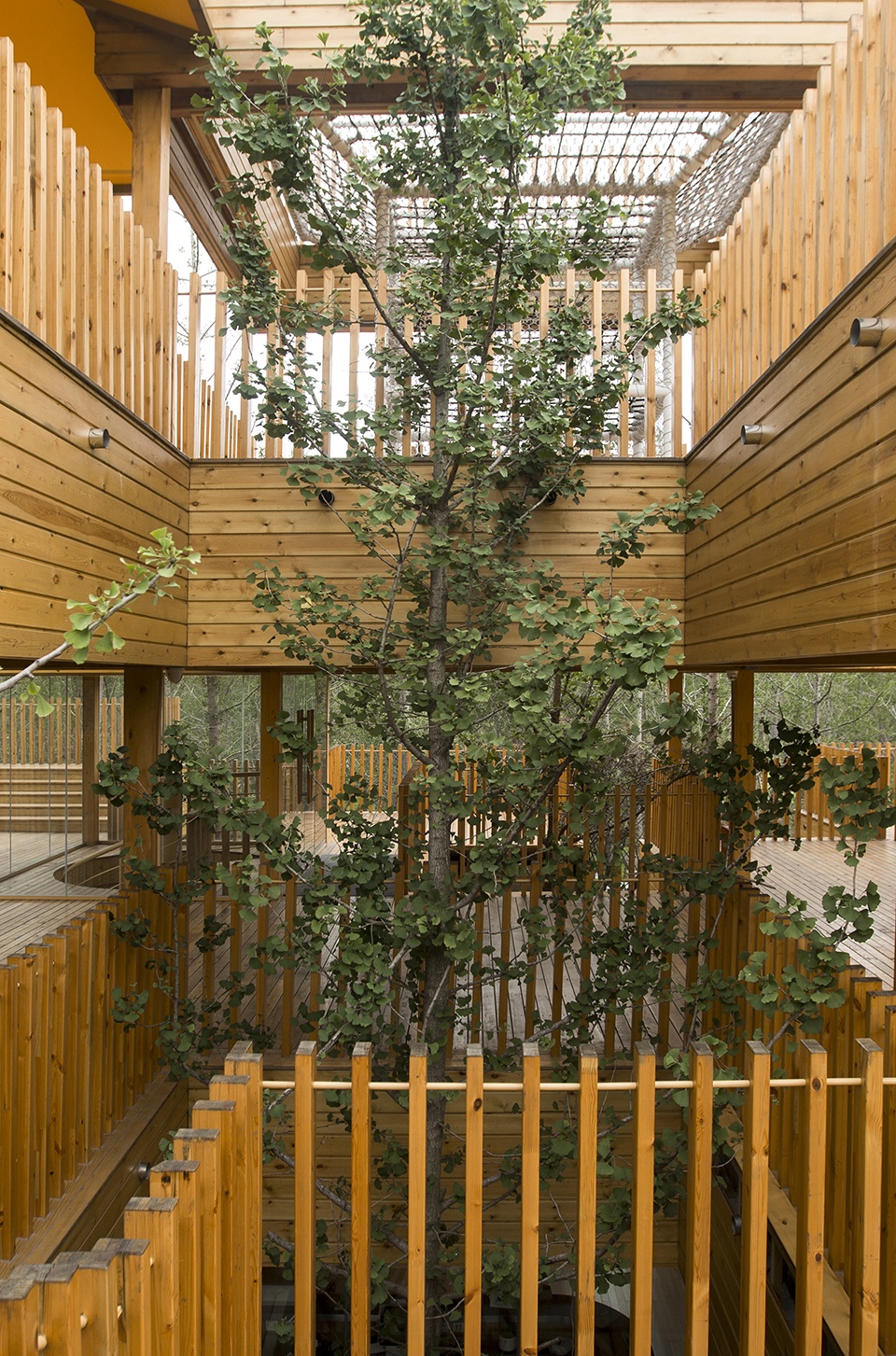 Ginkgo Forest Tea House China by MADAM Hexia Architects
