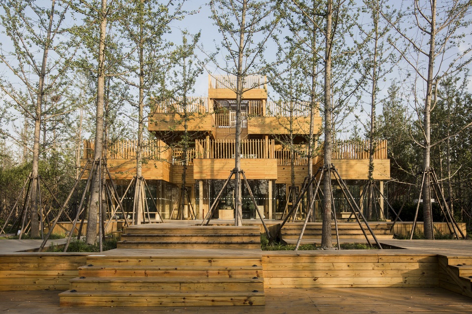 Ginkgo Forest Tea House China by MADAM Hexia Architects
