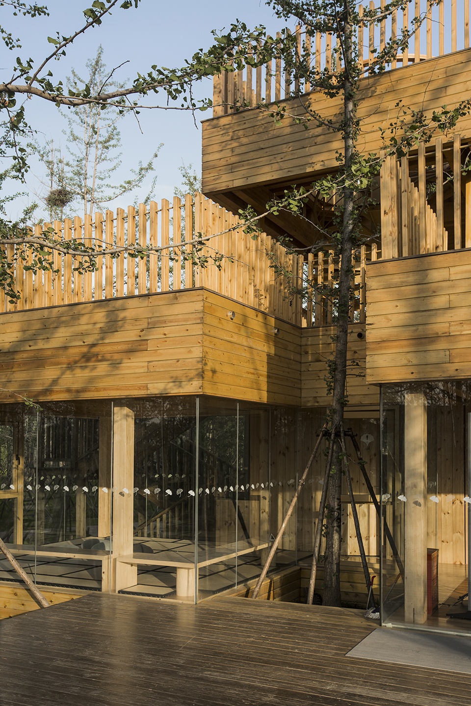 Ginkgo Forest Tea House China by MADAM Hexia Architects