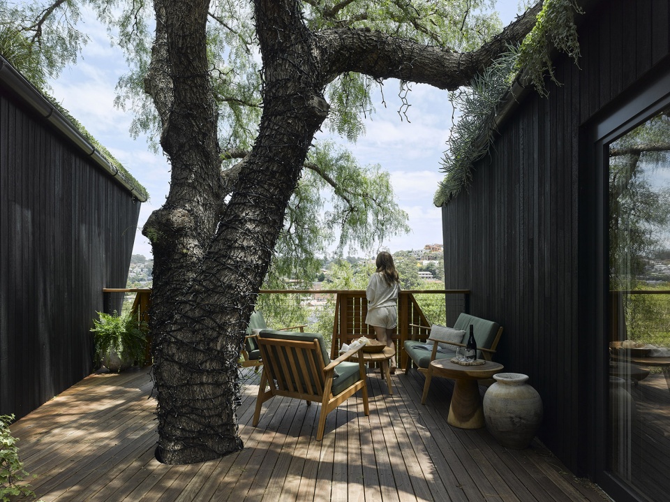 pepper tree passive house by alexander symes architect souter built