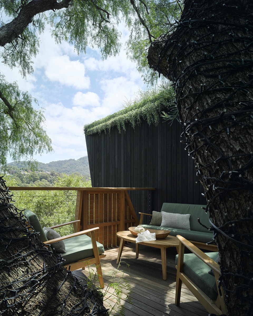 pepper tree passive house by alexander symes architect souter built