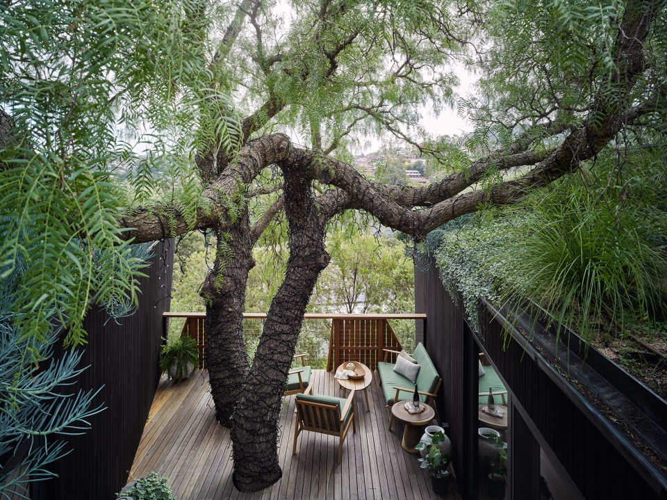 pepper tree passive house by alexander symes architect souter built
