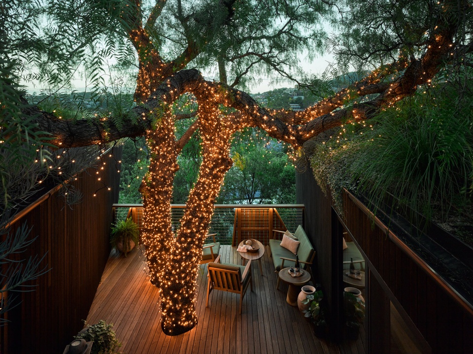 pepper tree passive house by alexander symes architect souter built