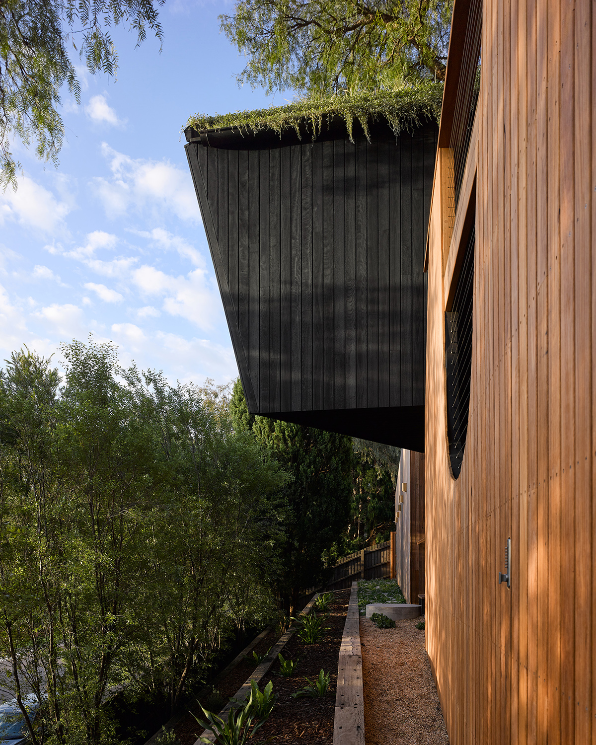 Pepper Tree Passive House by Alexander Symes Architect 谷德设计网