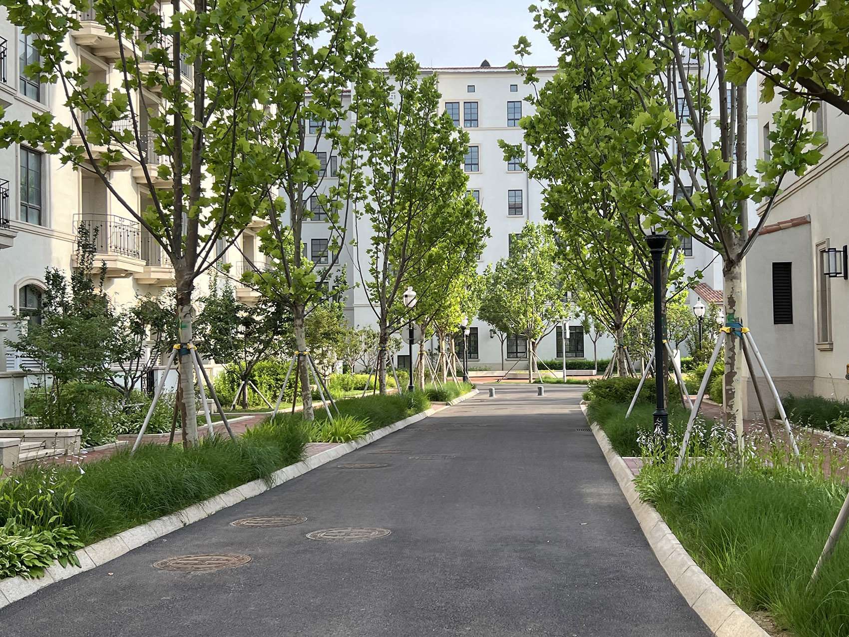 Aranya Cultural and Creative Blocks HorizonAtmosphere Landscape