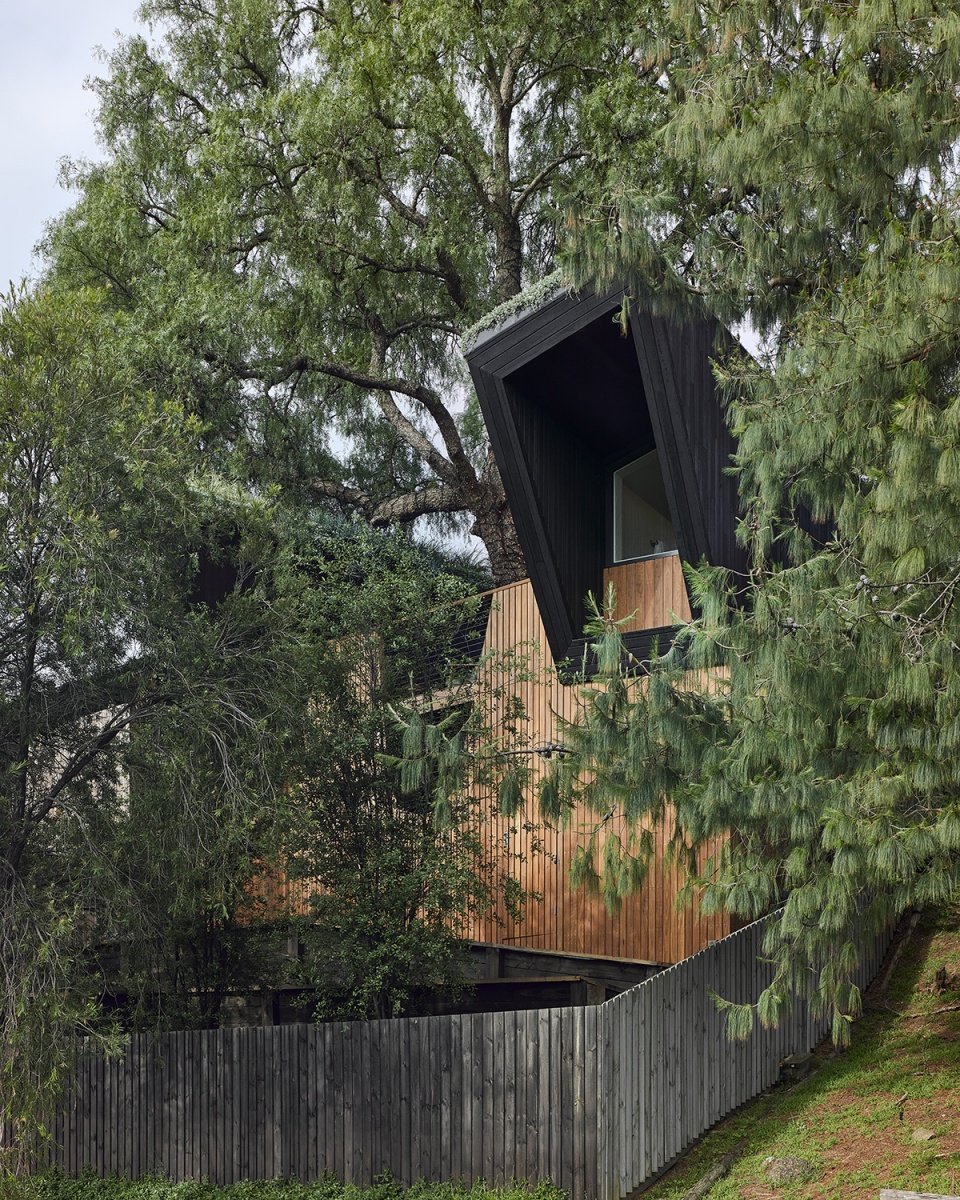 pepper tree passive house by alexander symes architect souter built