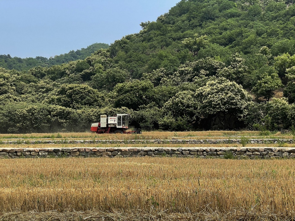 upgrading design of chestnut blossom valley scenic road in bohai town of huairou