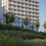 新西伯利亚河滨公园 / AFA + Landmark Architects + S&P Architektura Krajobrazu + Brusnika