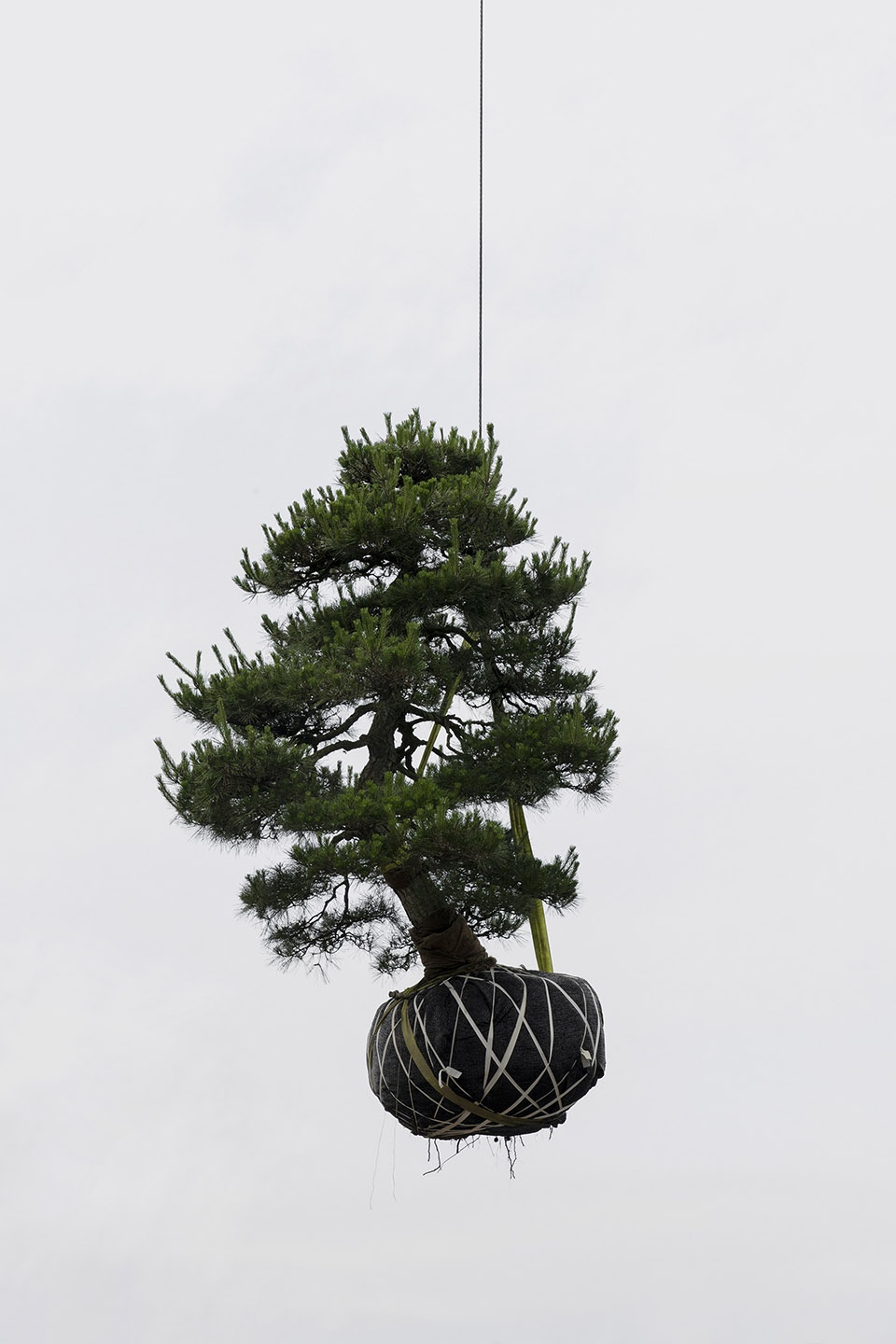 The Sky Garden Zhang Kechun