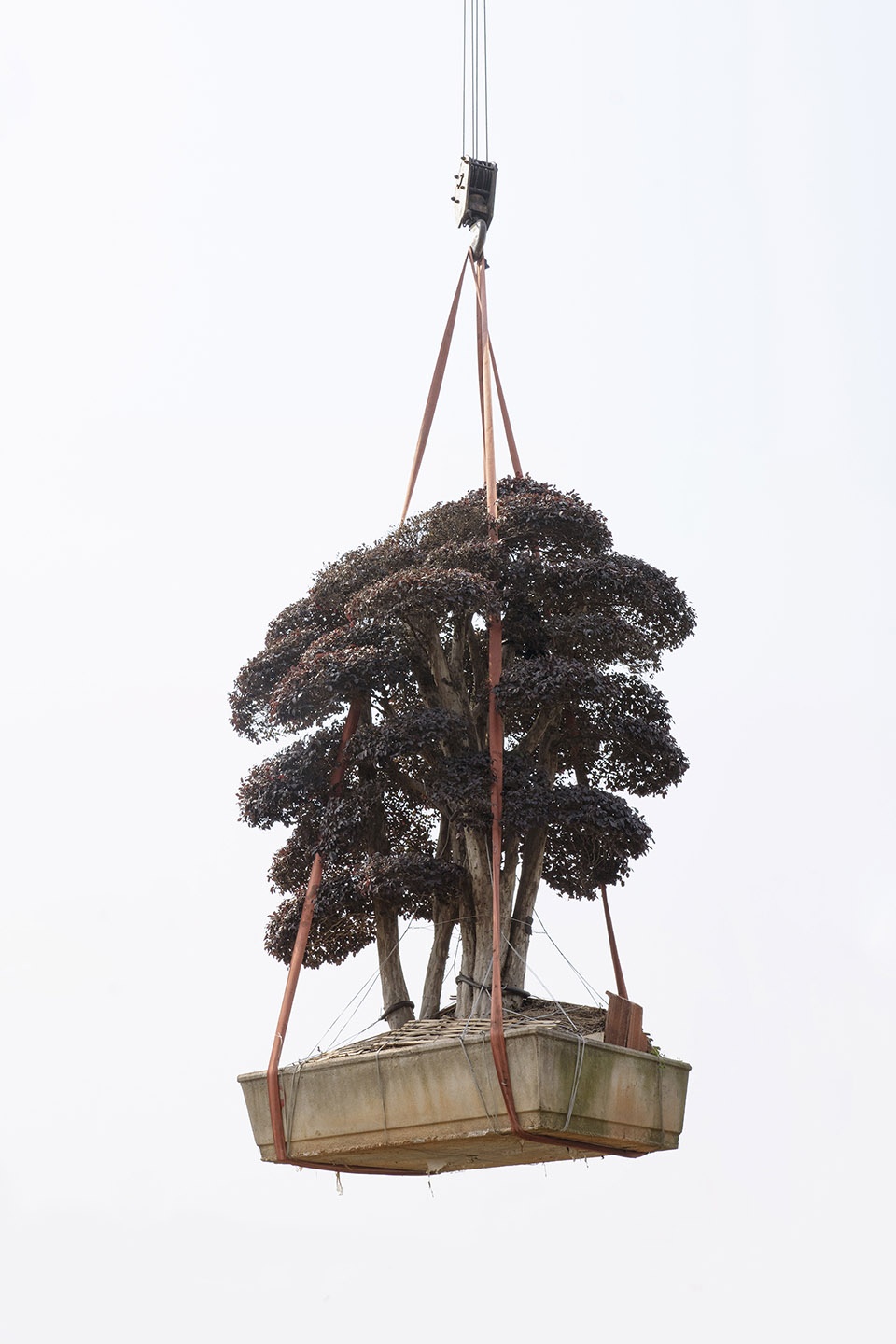 The Sky Garden Zhang Kechun 1