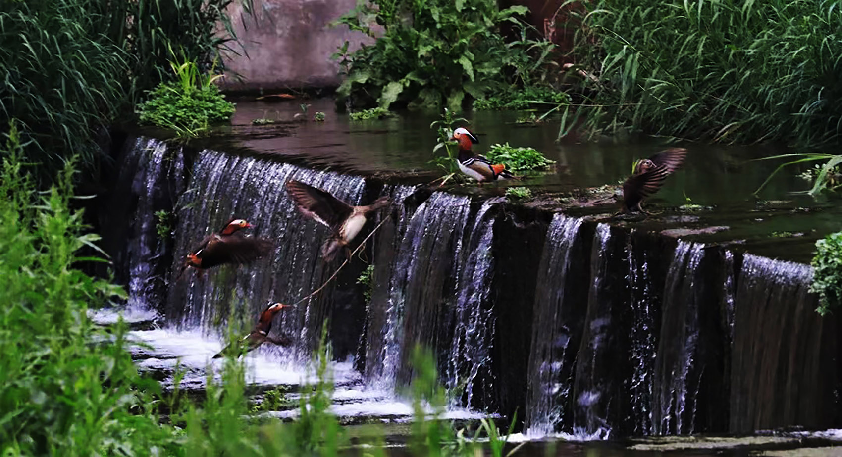 Upgrading Design of Chestnut Blossom Valley Scenic Road in Bohai Town