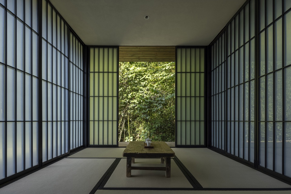 Xuli Xu’aodi House of Persimmon Tea Plum GTD