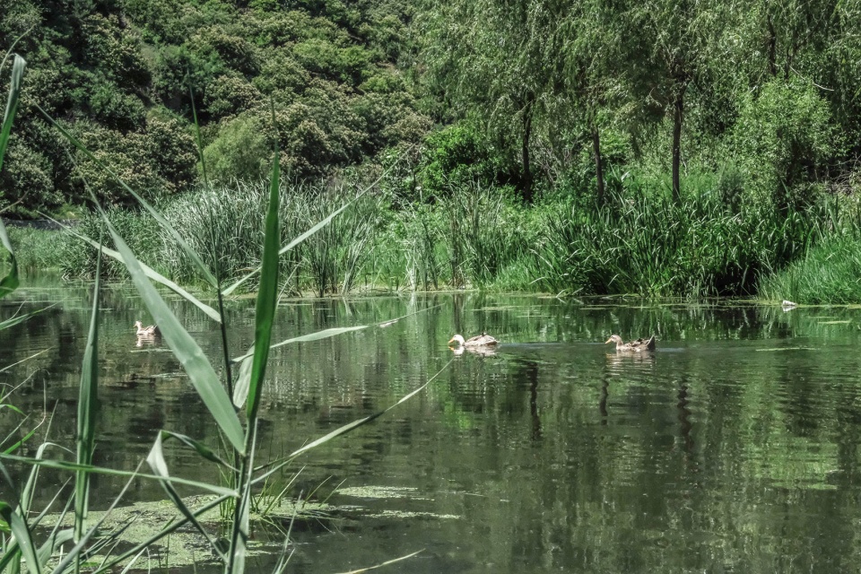 upgrading design of chestnut blossom valley scenic road in bohai town of huairou