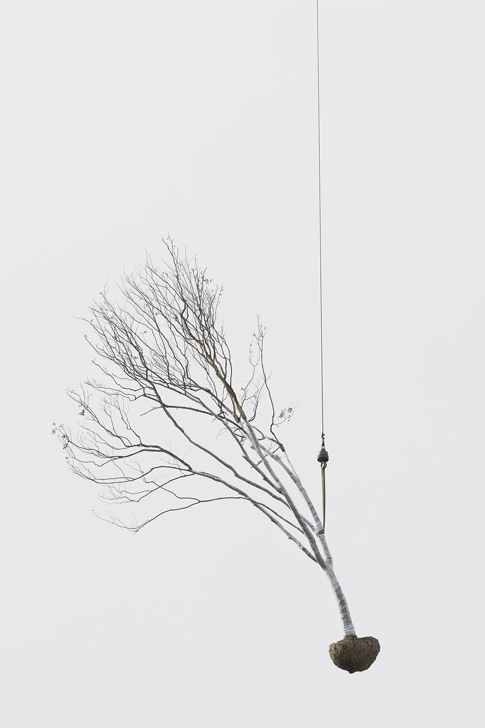 The Sky Garden Zhang Kechun