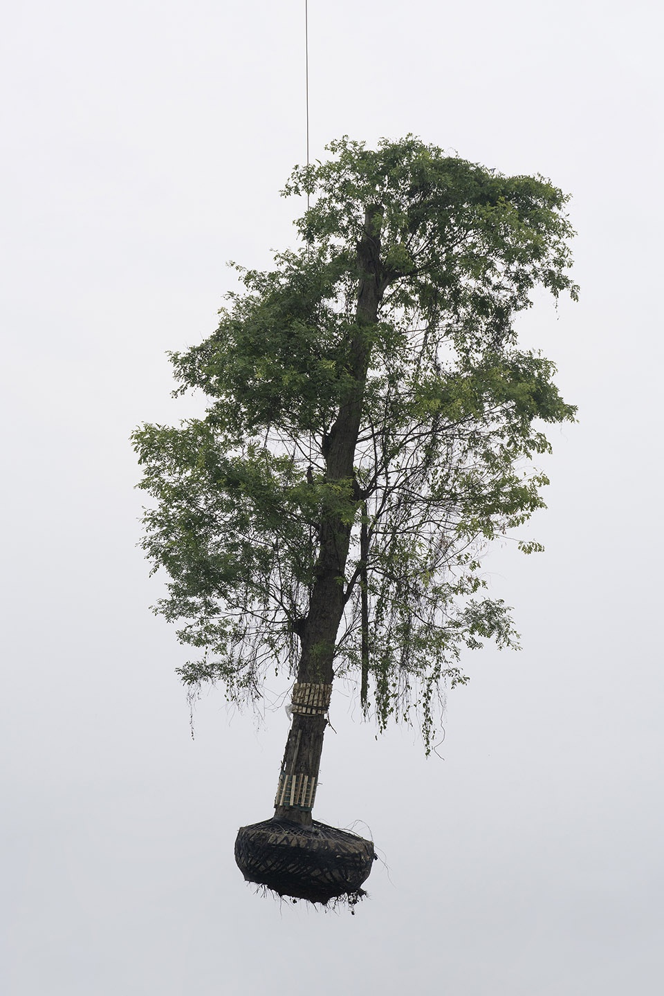 The Sky Garden Zhang Kechun