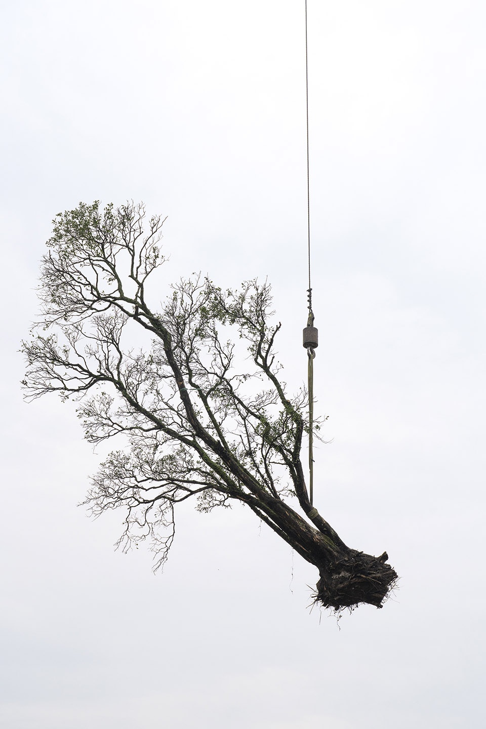 The Sky Garden Zhang Kechun