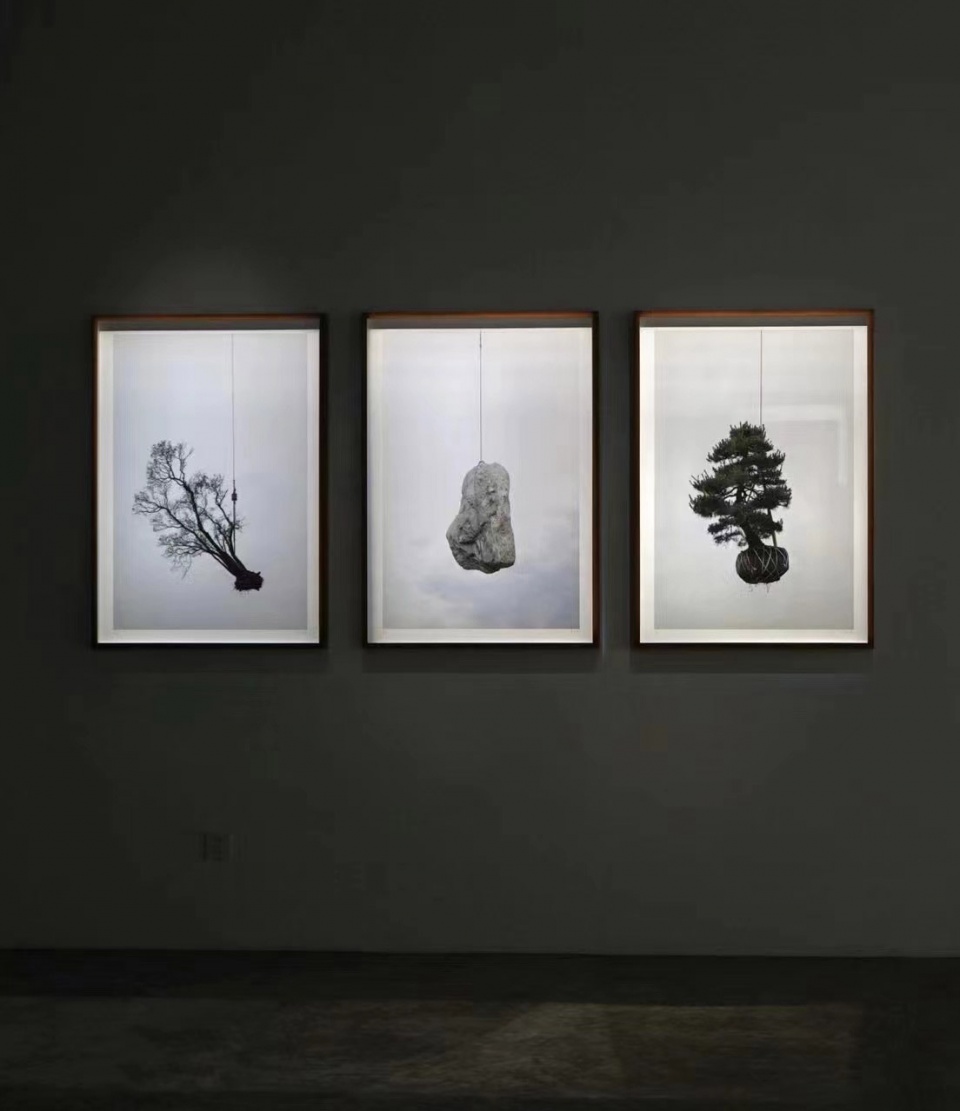 The Sky Garden Zhang Kechun
