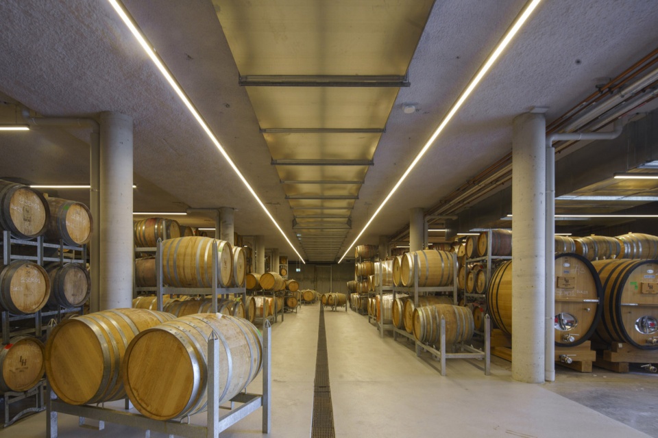 levantine hill estate winery by fender katsalidis