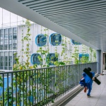 学习层台：深圳福强小学 / 众建筑