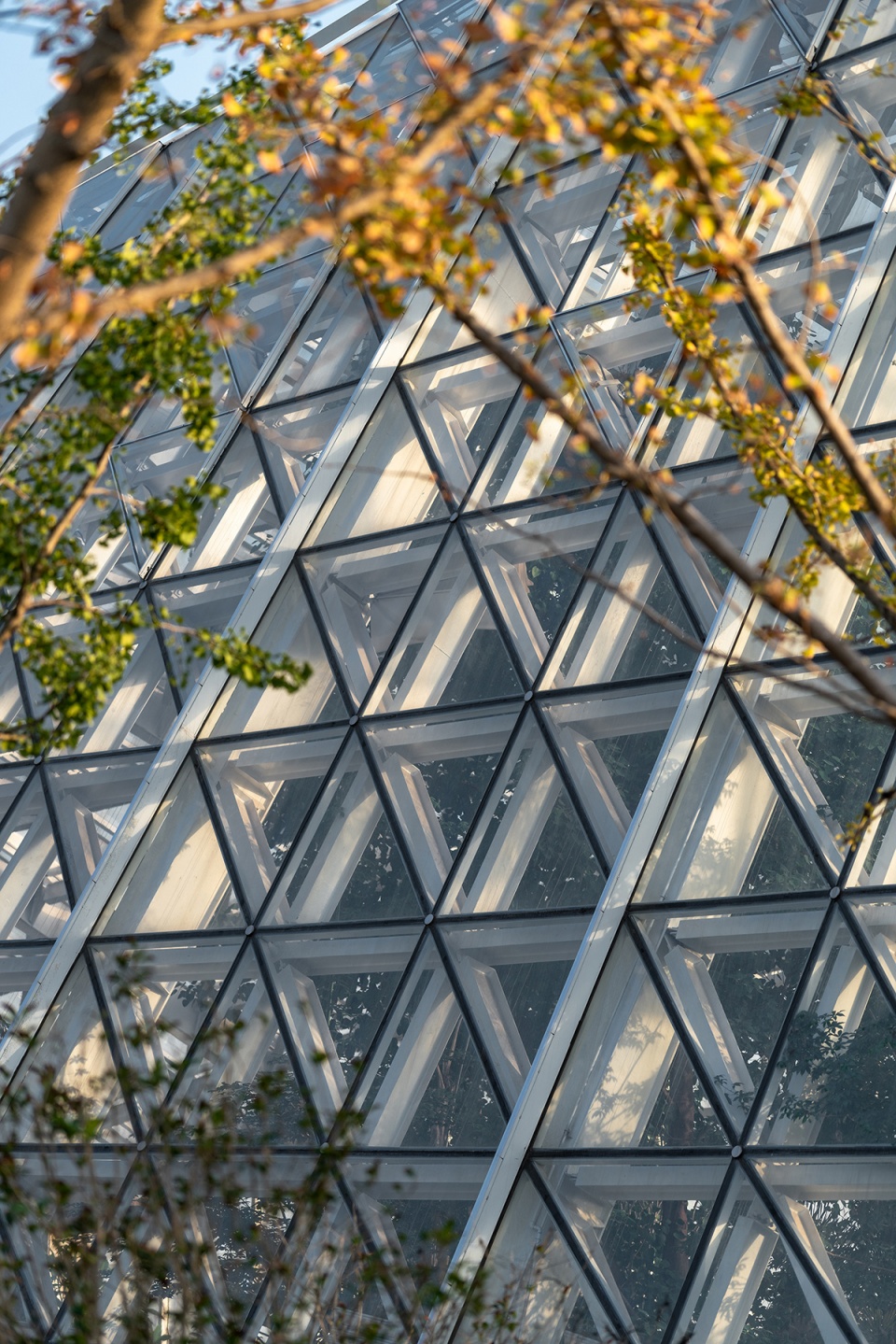 greenhouse of nantong botanical garden by gen architects