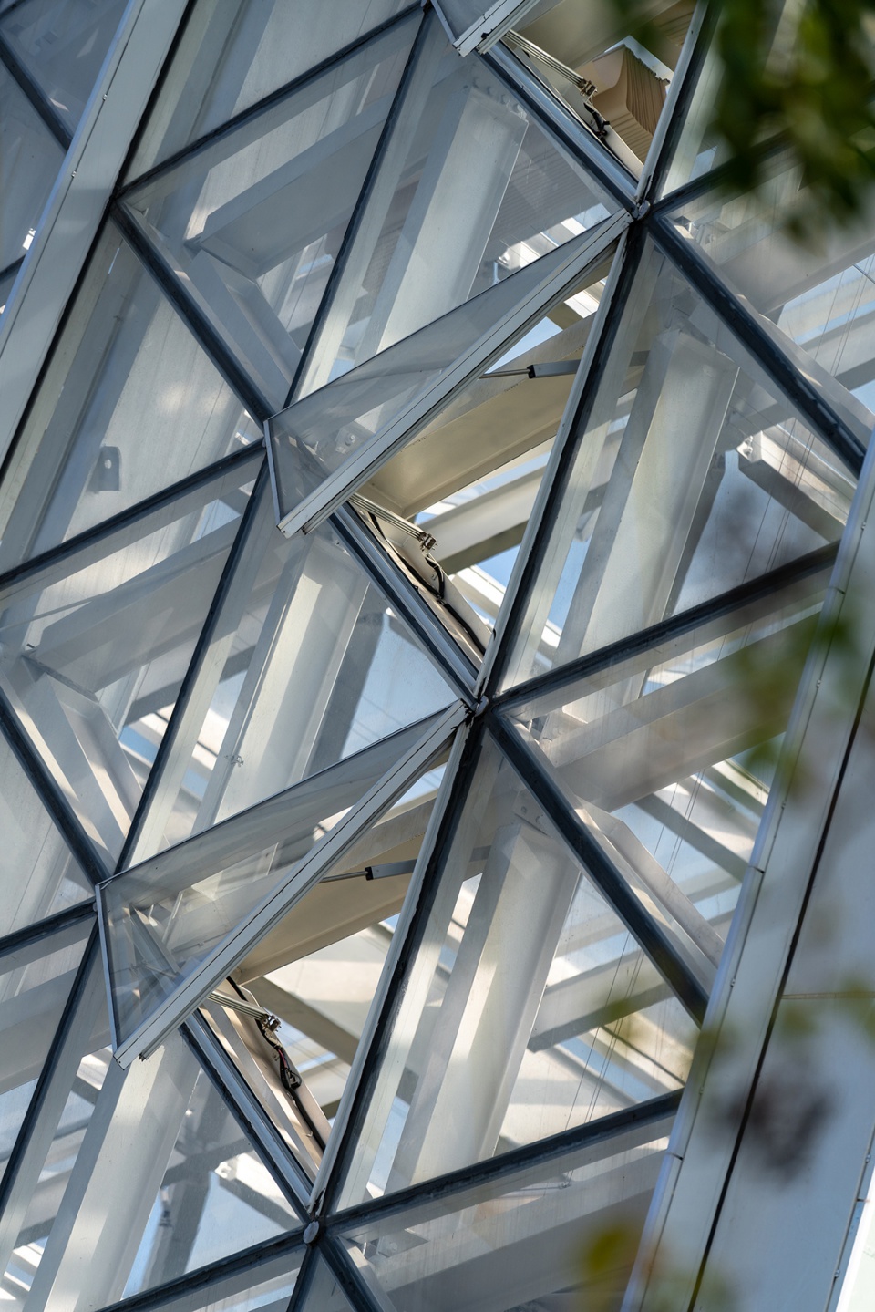 greenhouse of nantong botanical garden by gen architects
