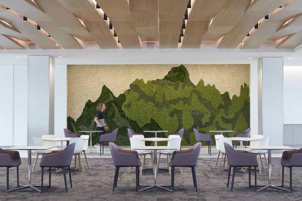 lg north american headquarters new jersey by hok