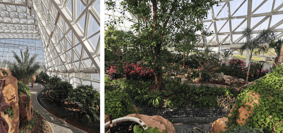 greenhouse of nantong botanical garden by gen architects