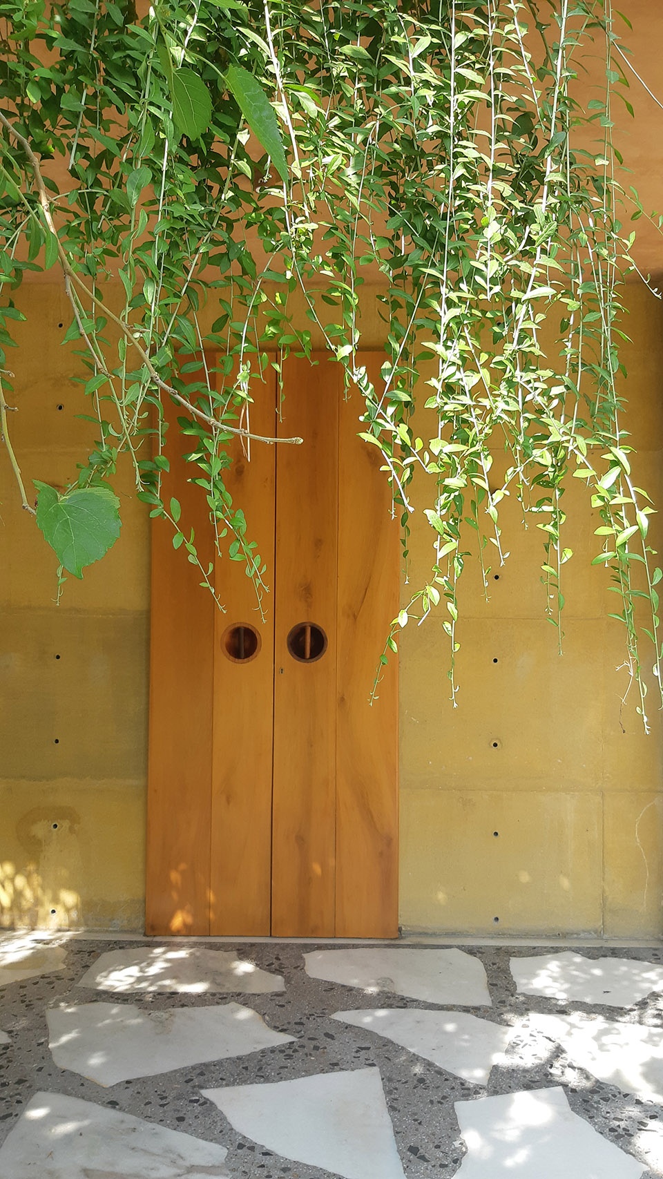 Shed 20 Studio ii