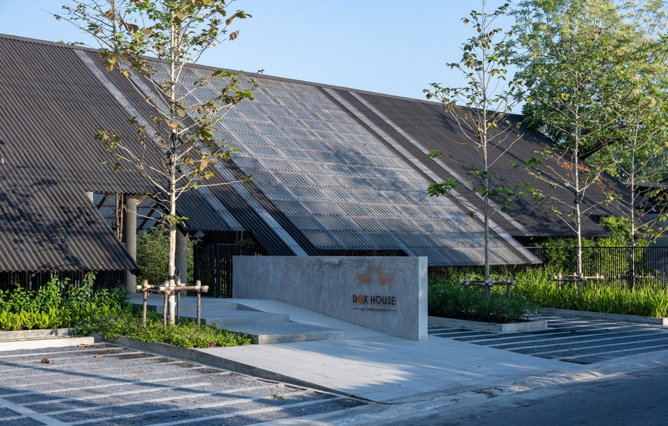 DOG HUMAN EKAR