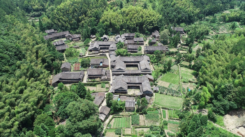 Xuli Xu’aodi House of Persimmon Tea Plum GTD