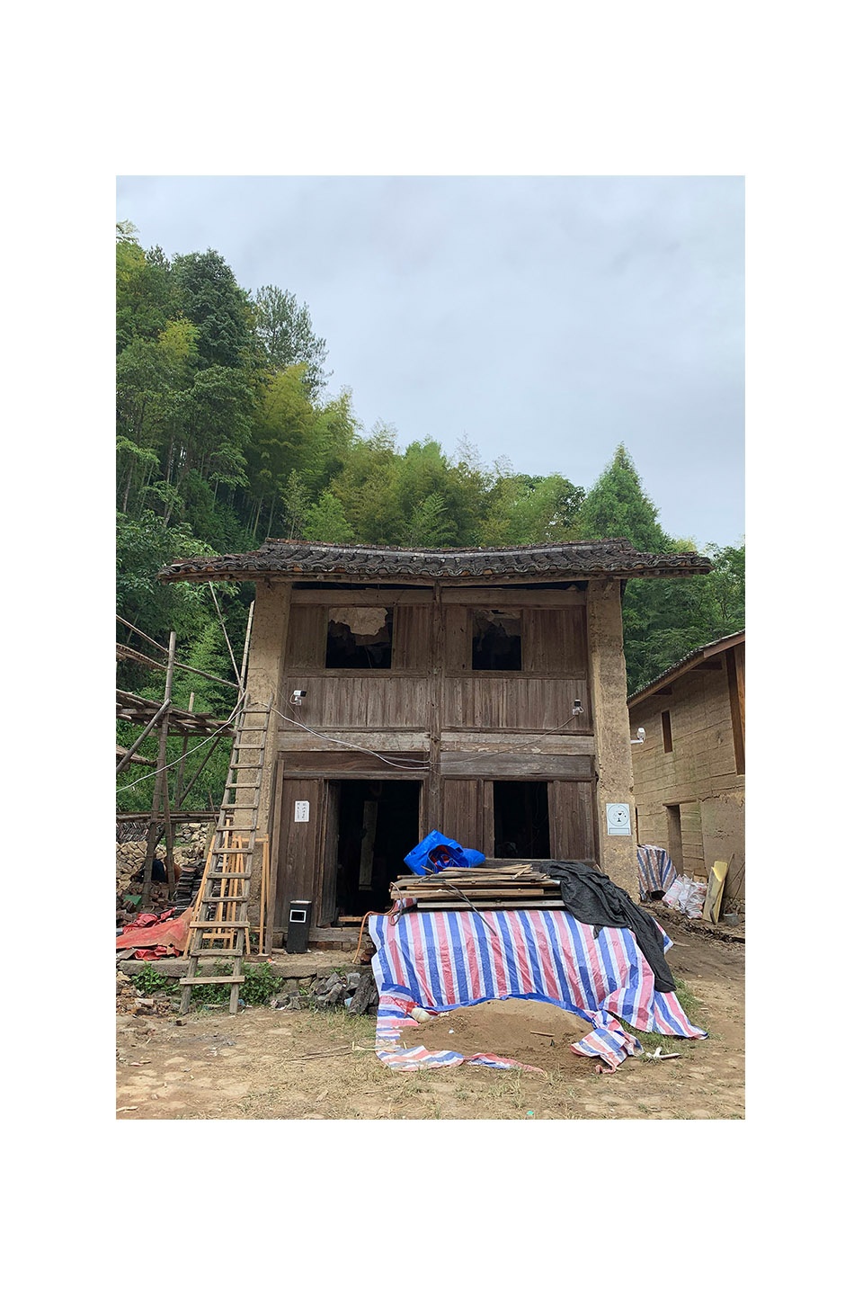 a Xuli Xu’aodi House of Persimmon Tea Plum GTD
