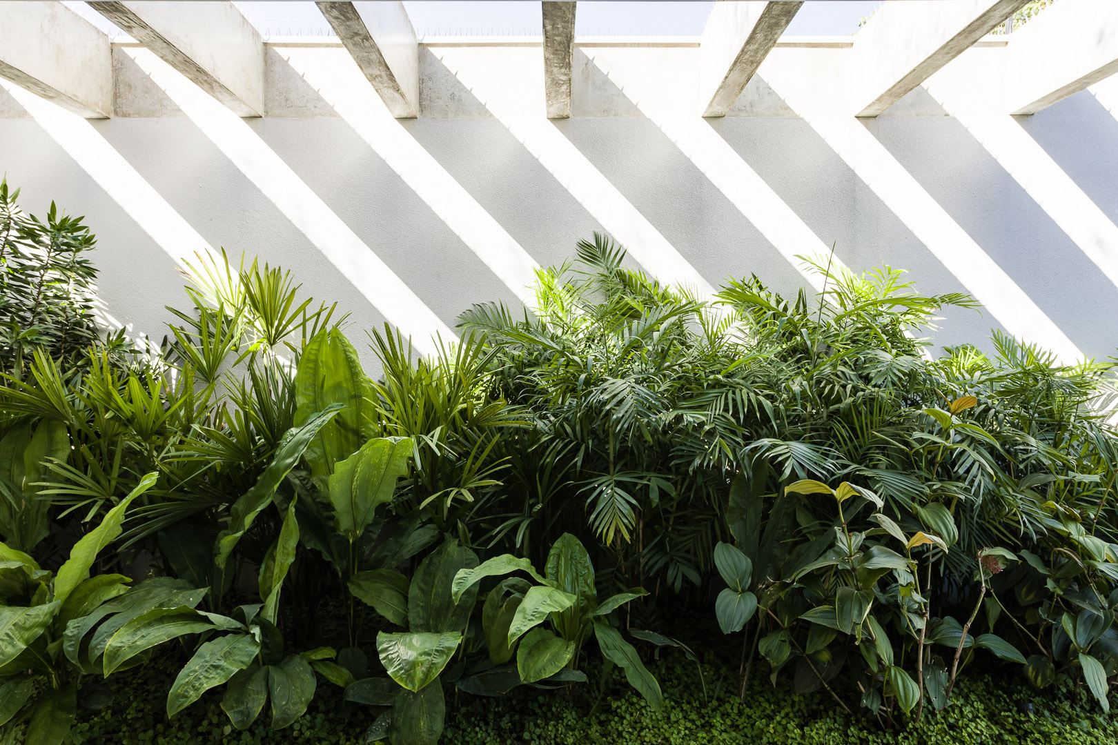 JR House by Pascali Semerdjian Architects 谷德设计网