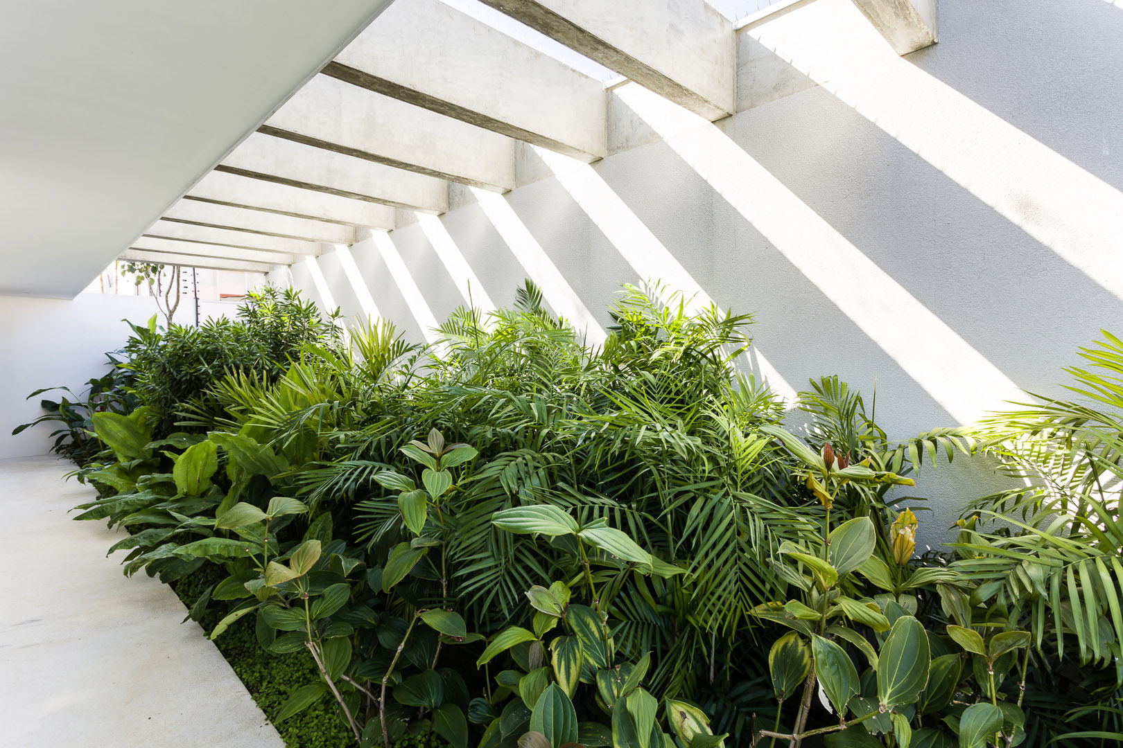 JR House by Pascali Semerdjian Architects 谷德设计网