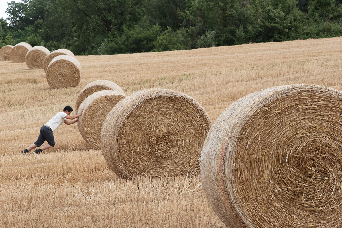 art in the field design for rural revitalization