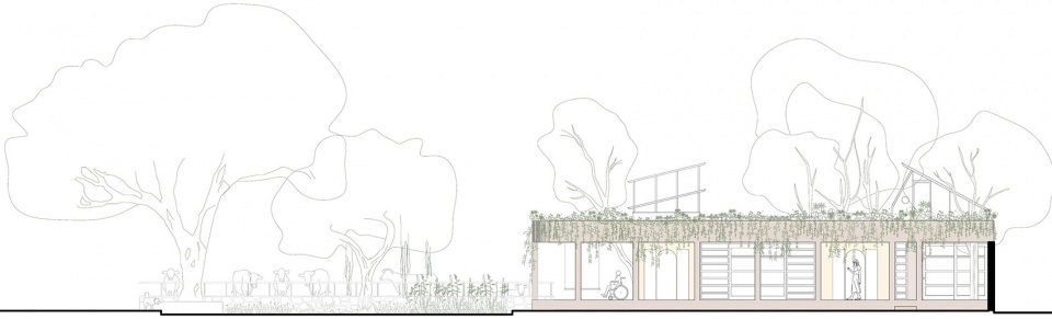 Shed 20 Studio ii