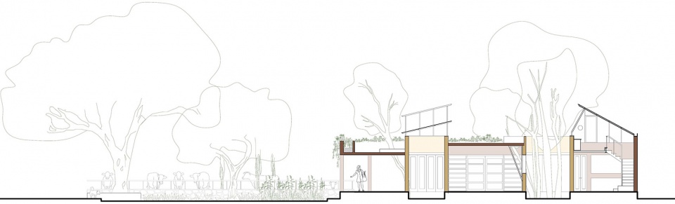 Shed 20 Studio ii