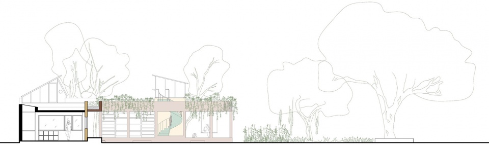 Shed 20 Studio ii