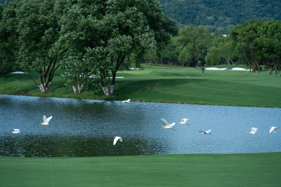 west lake golf landscape design by ncd studio