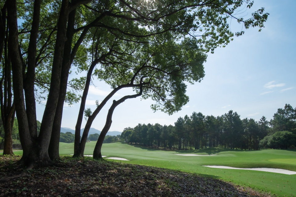 west lake golf landscape design by ncd studio