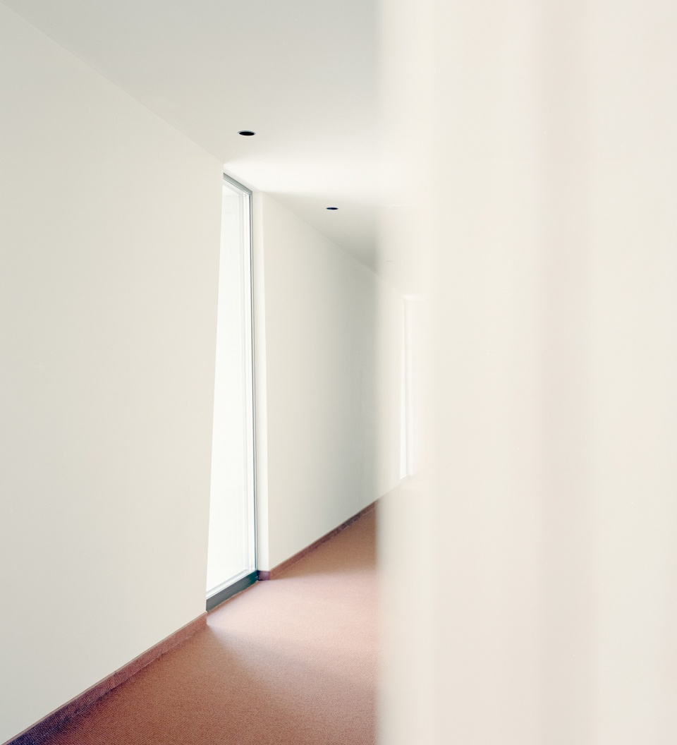 Barbianerhof Apartments by Alpina Architects