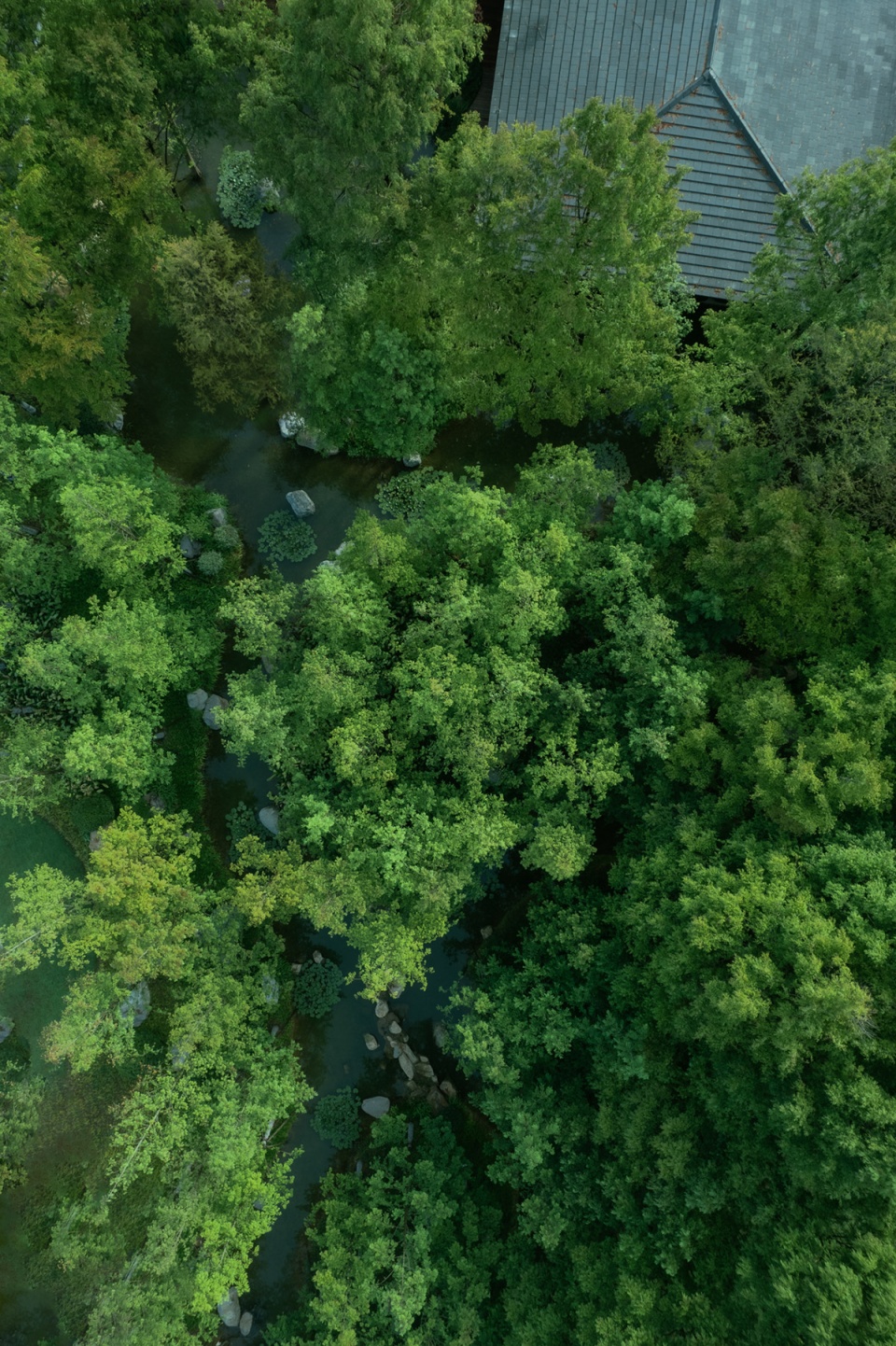 west lake golf landscape design by ncd studio
