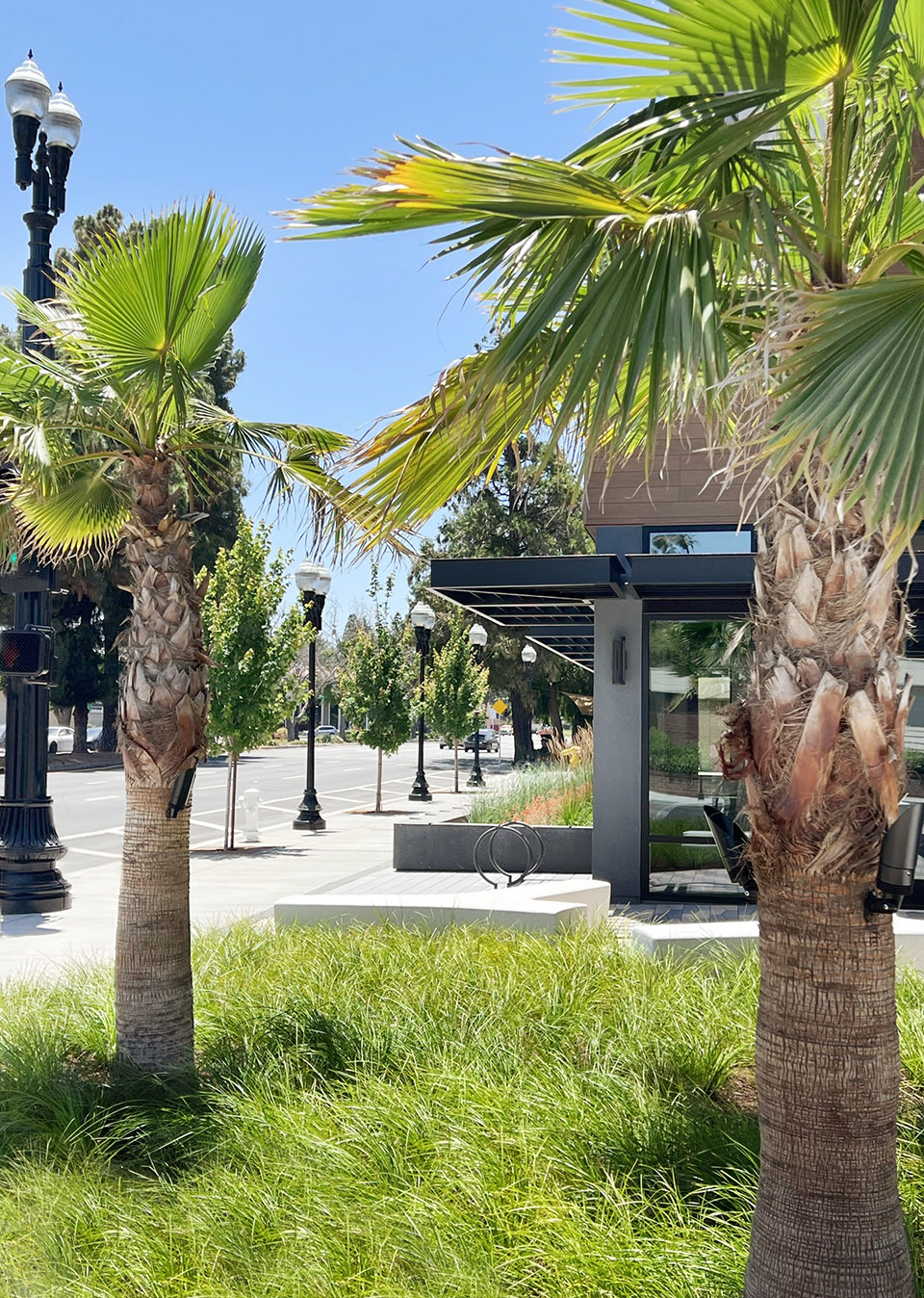 Gardens Over Denny’s by SAW 谷德设计网