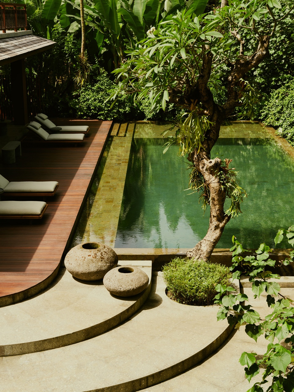 lost lindenberg in bali by alexis dornier studio jencquel