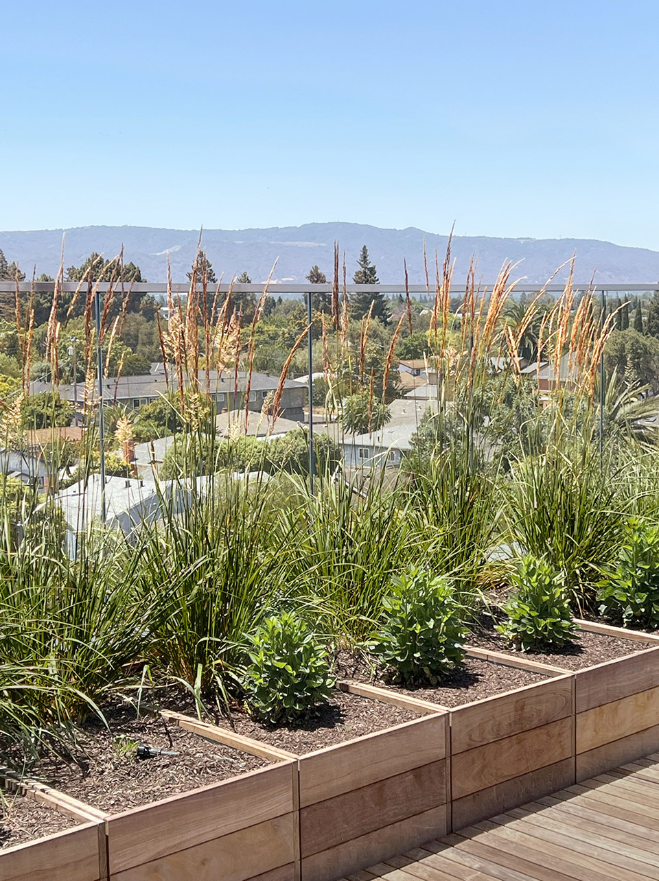 Gardens Over Denny’s by SAW 谷德设计网