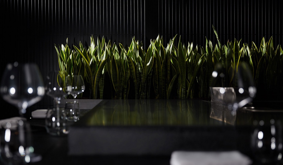 Nanjing Dragon Teppanyaki Restaurant The One House