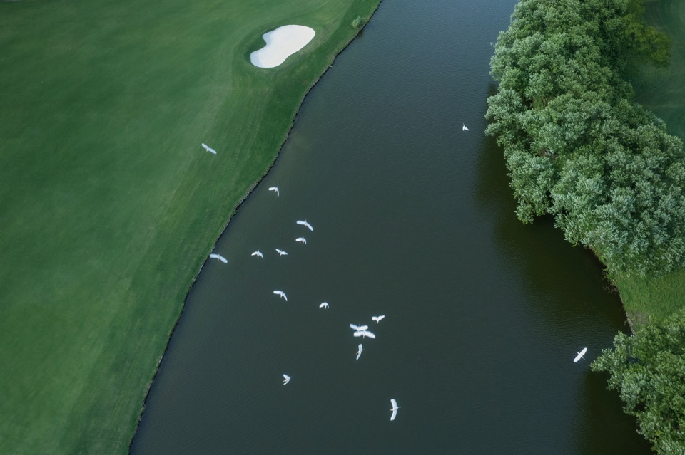 west lake golf landscape design by ncd studio
